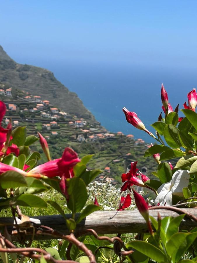 Tropical House Villa Ribeira Brava Luaran gambar
