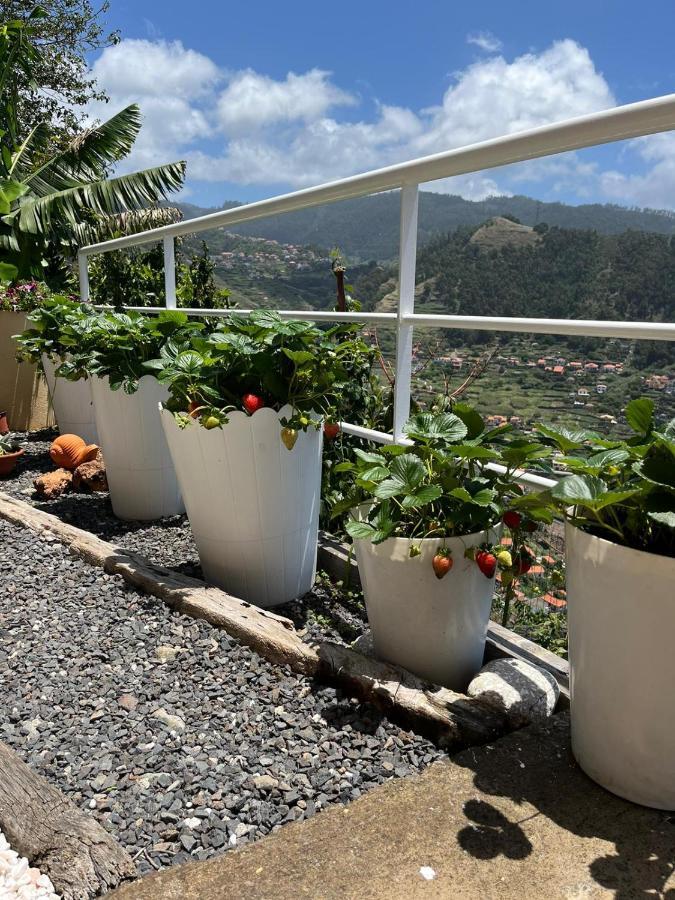 Tropical House Villa Ribeira Brava Luaran gambar