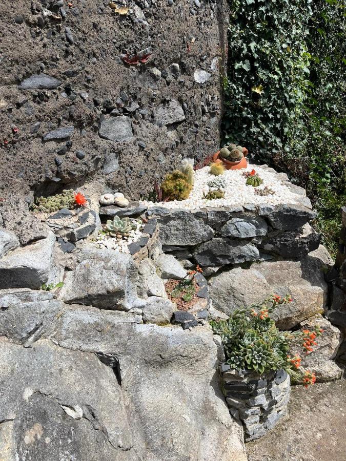 Tropical House Villa Ribeira Brava Luaran gambar