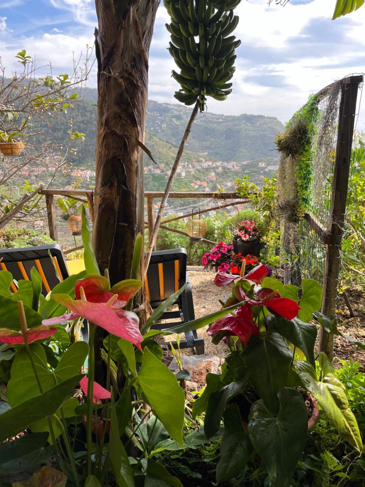 Tropical House Villa Ribeira Brava Luaran gambar