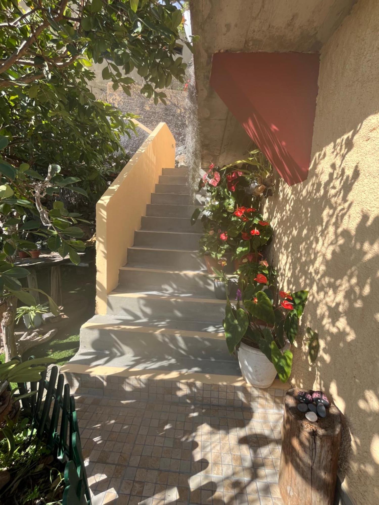 Tropical House Villa Ribeira Brava Luaran gambar