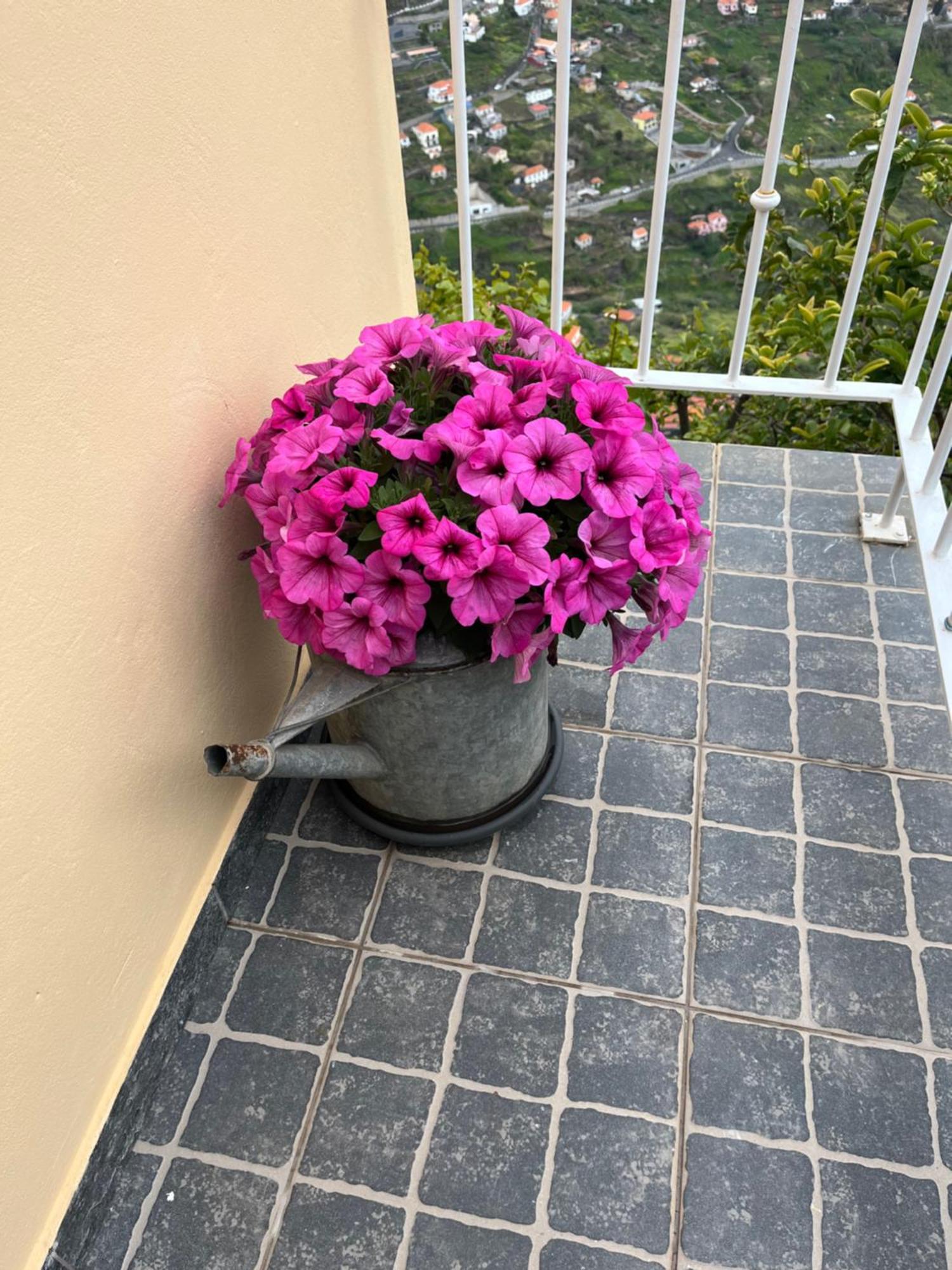 Tropical House Villa Ribeira Brava Luaran gambar
